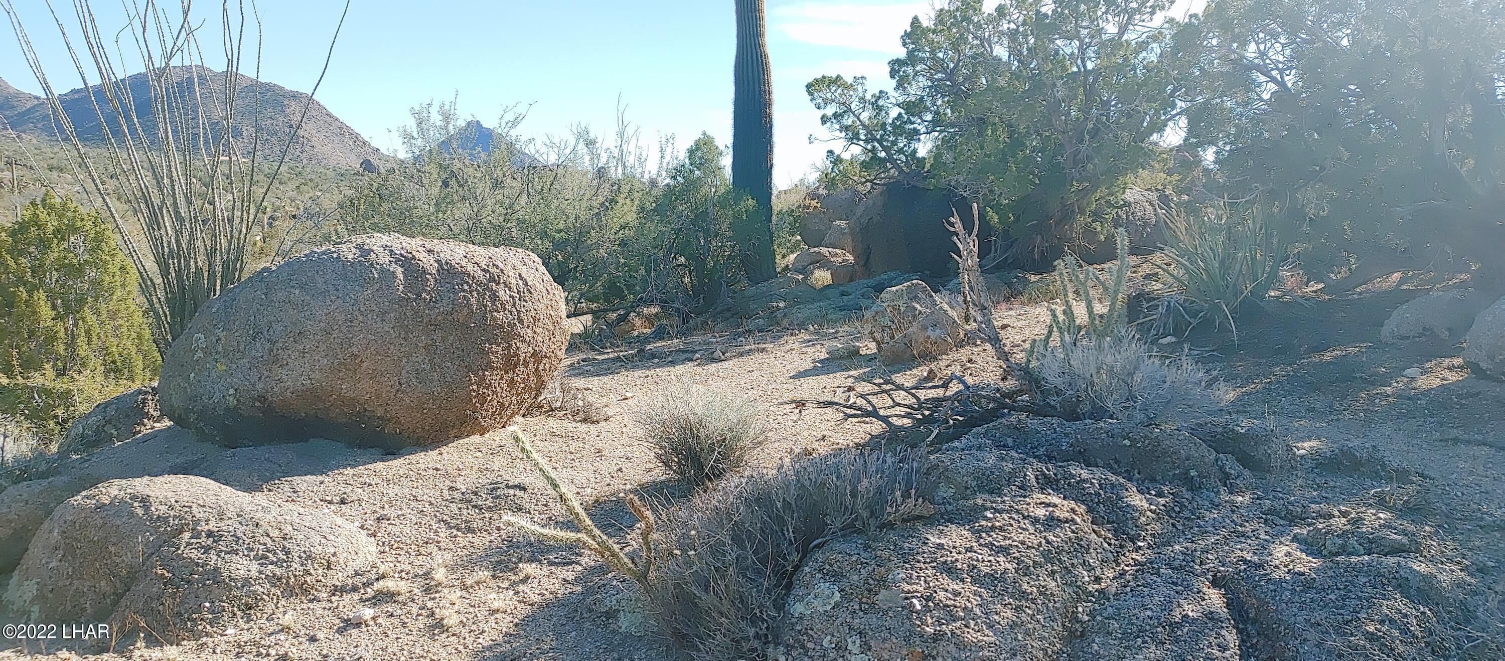 3611 South La Cienega Ranch Road Yucca, AZ 86438 - Photo 11 of 75 1127221342