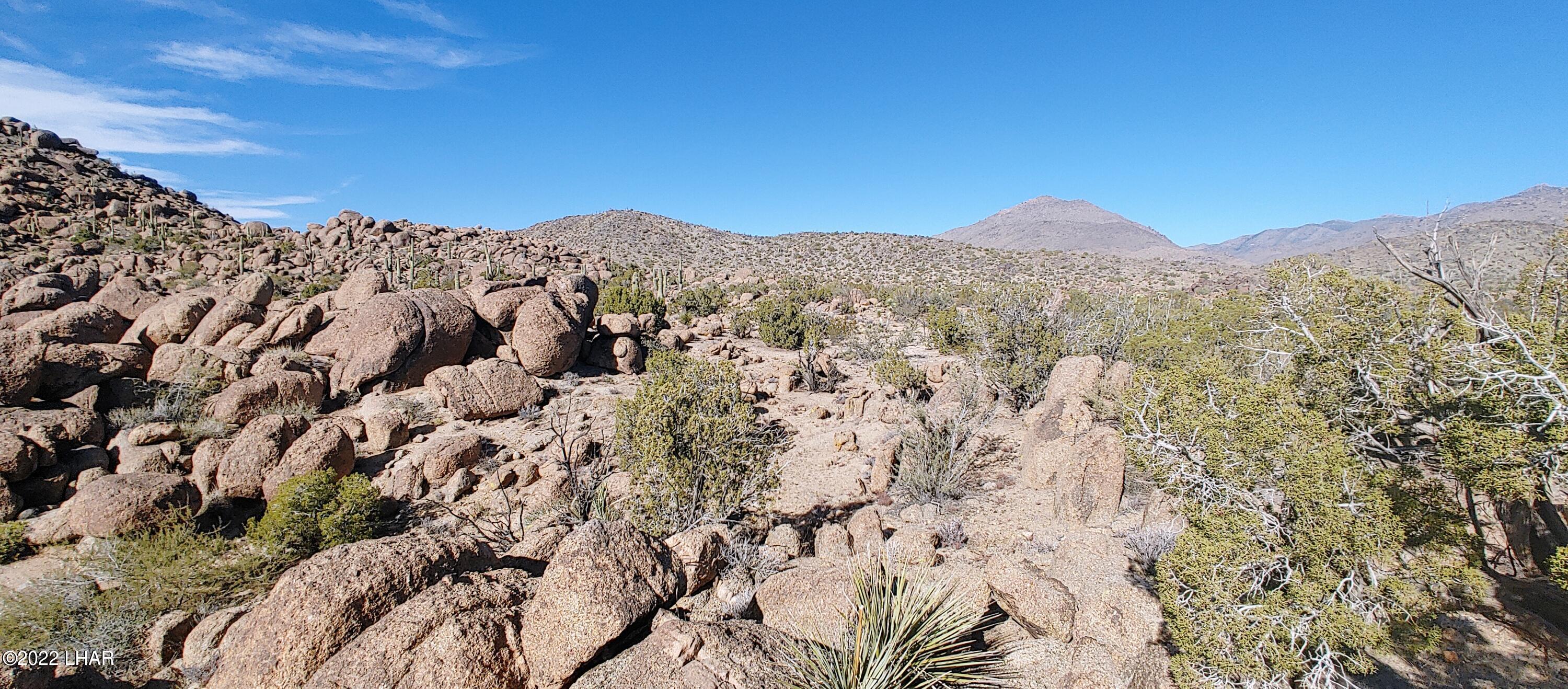 3611 South La Cienega Ranch Road Yucca, AZ 86438 - Photo 12 of 75 1127221343b 1