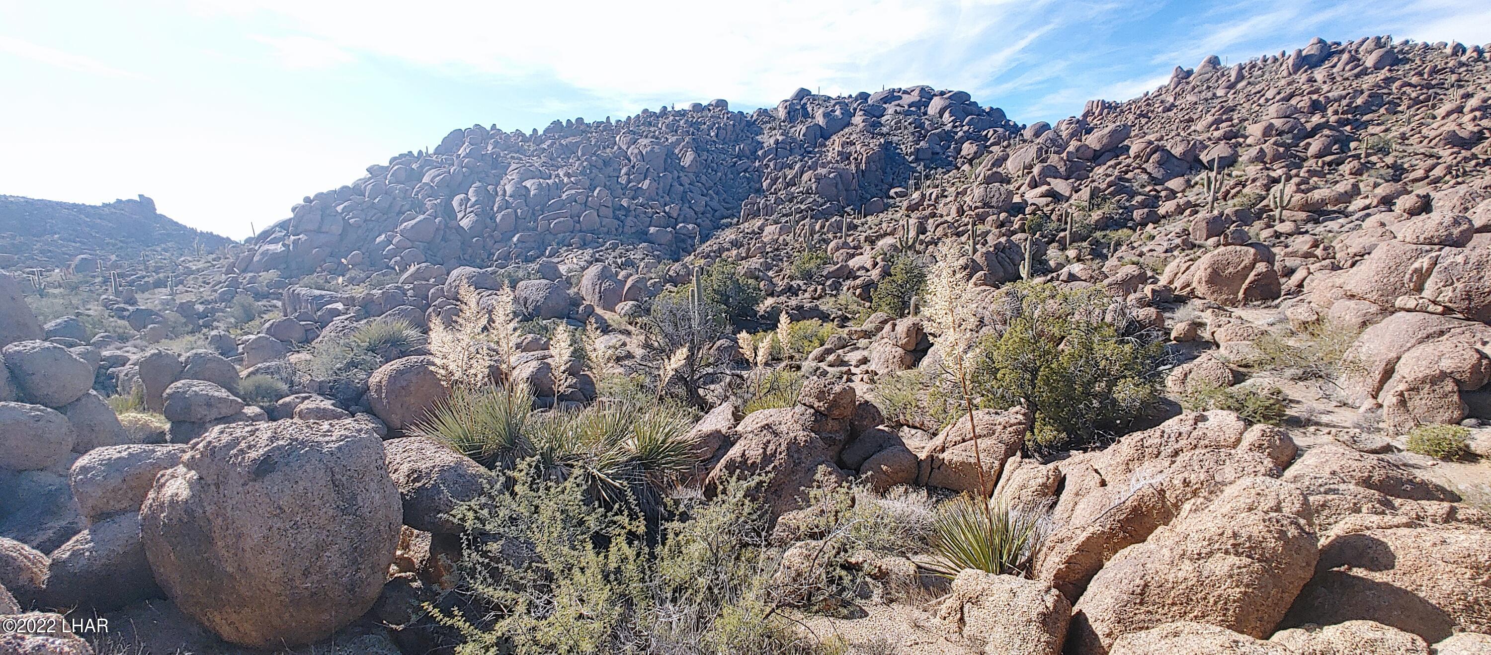 3611 South La Cienega Ranch Road Yucca, AZ 86438 - Photo 13 of 75 1127221343d