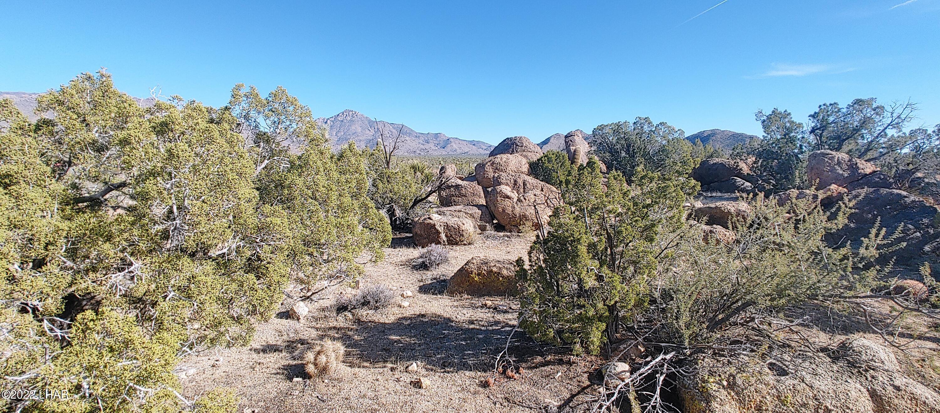 3611 South La Cienega Ranch Road Yucca, AZ 86438 - Photo 14 of 75 1127221343g