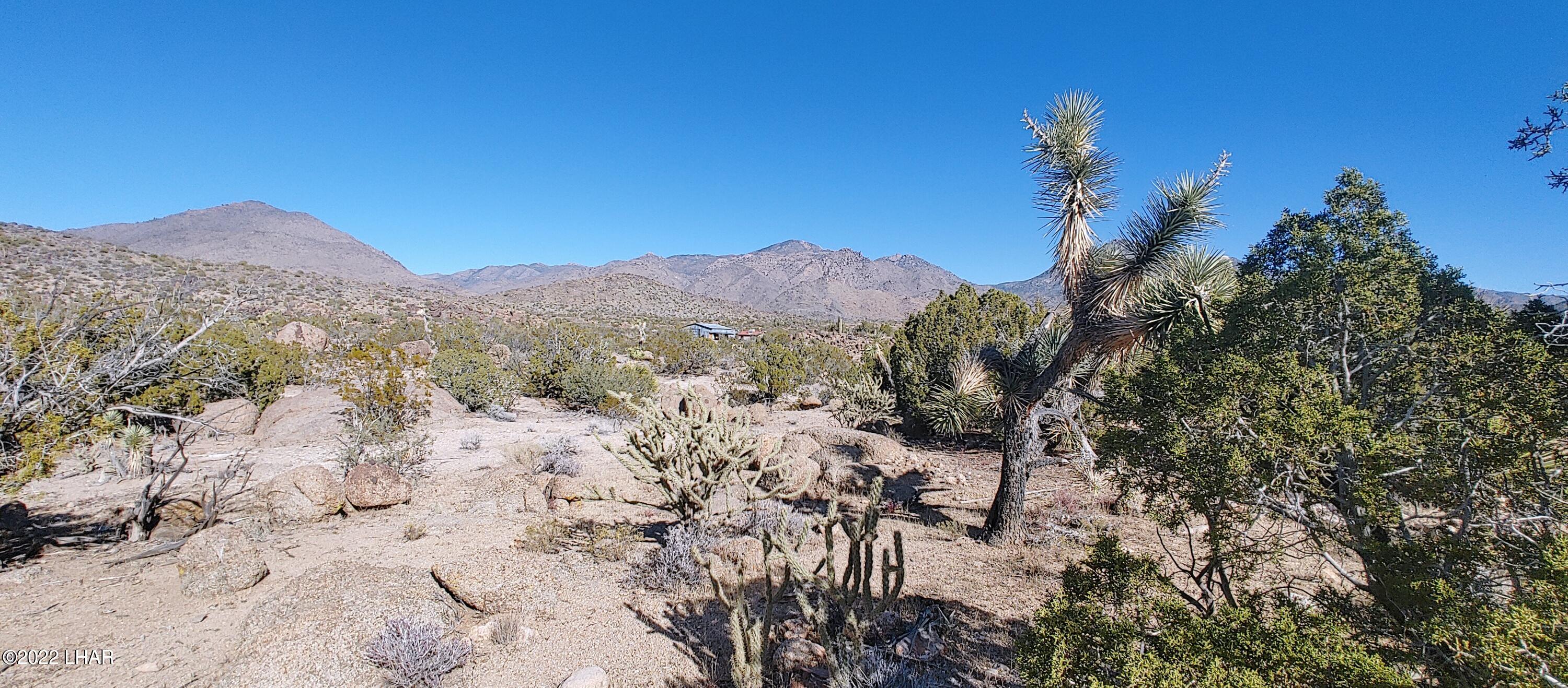 3611 South La Cienega Ranch Road Yucca, AZ 86438 - Photo 15 of 75 View to the east towards La Cienega Ranch