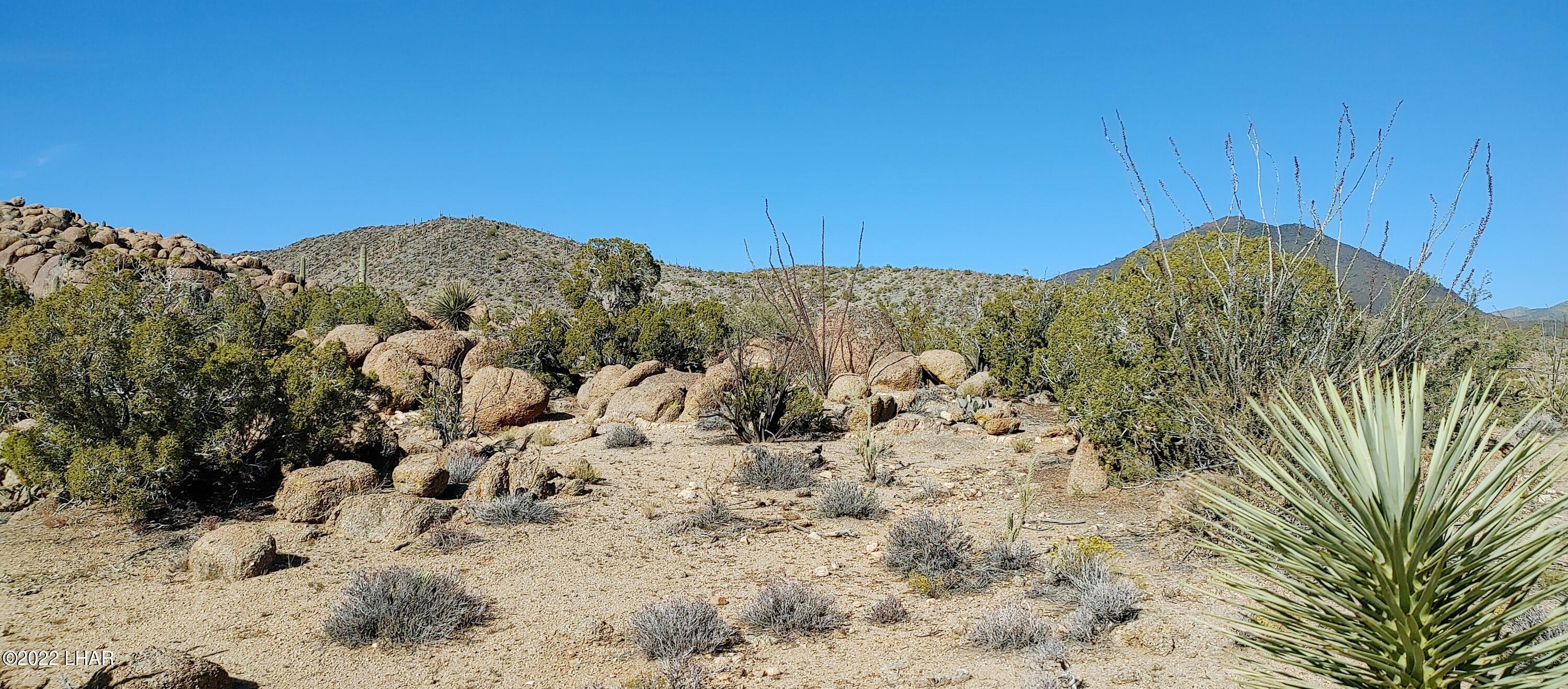 3611 South La Cienega Ranch Road Yucca, AZ 86438 - Photo 18 of 75 1127221345b
