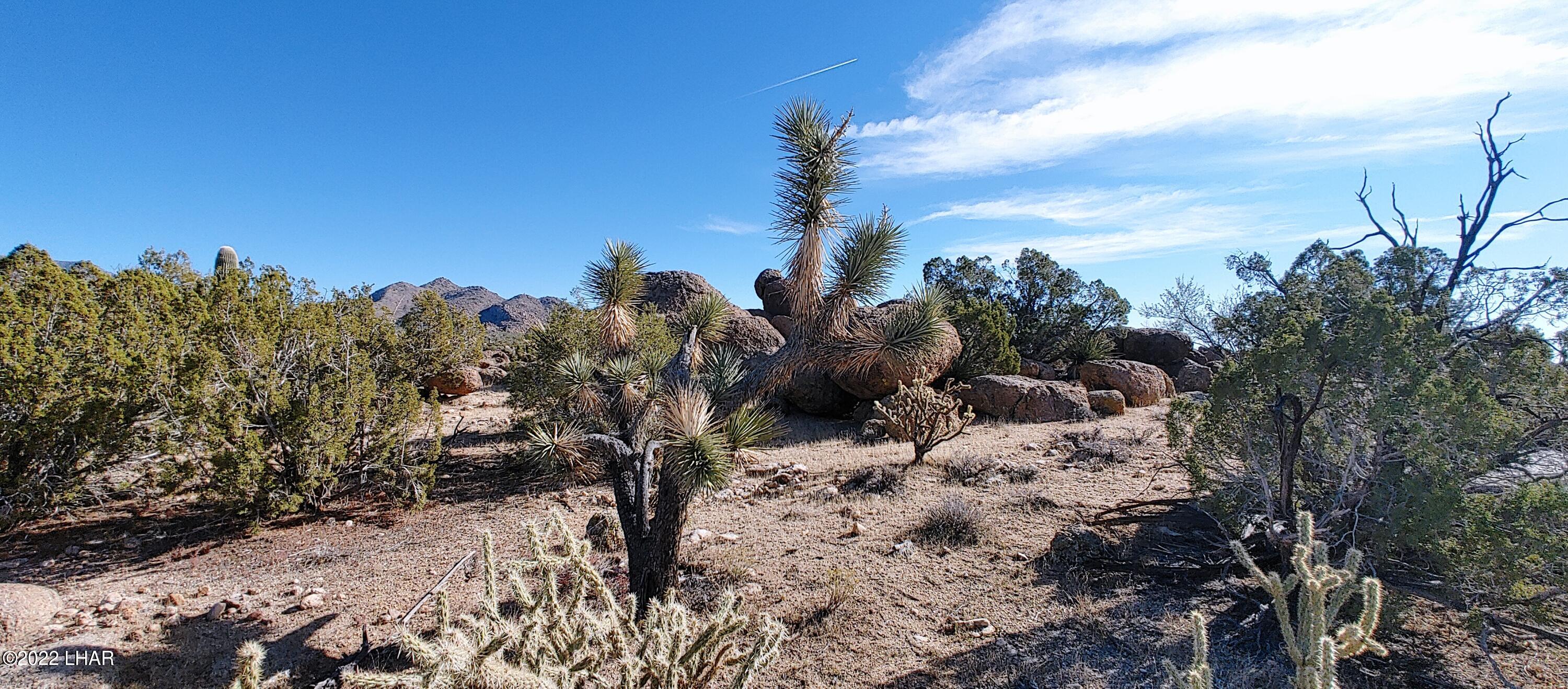 3611 South La Cienega Ranch Road Yucca, AZ 86438 - Photo 19 of 75 1127221344c