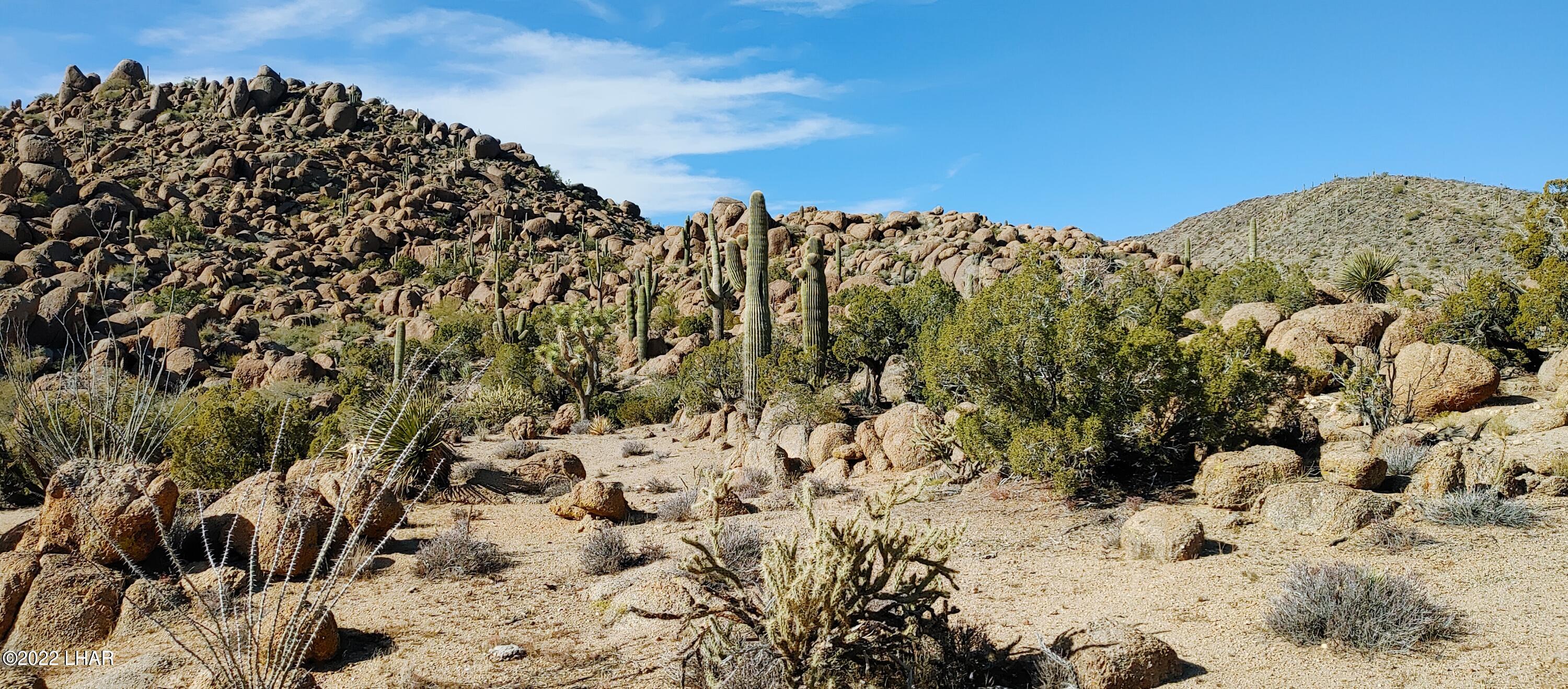 3611 South La Cienega Ranch Road Yucca, AZ 86438 - Photo 2 of 75 1127221345a