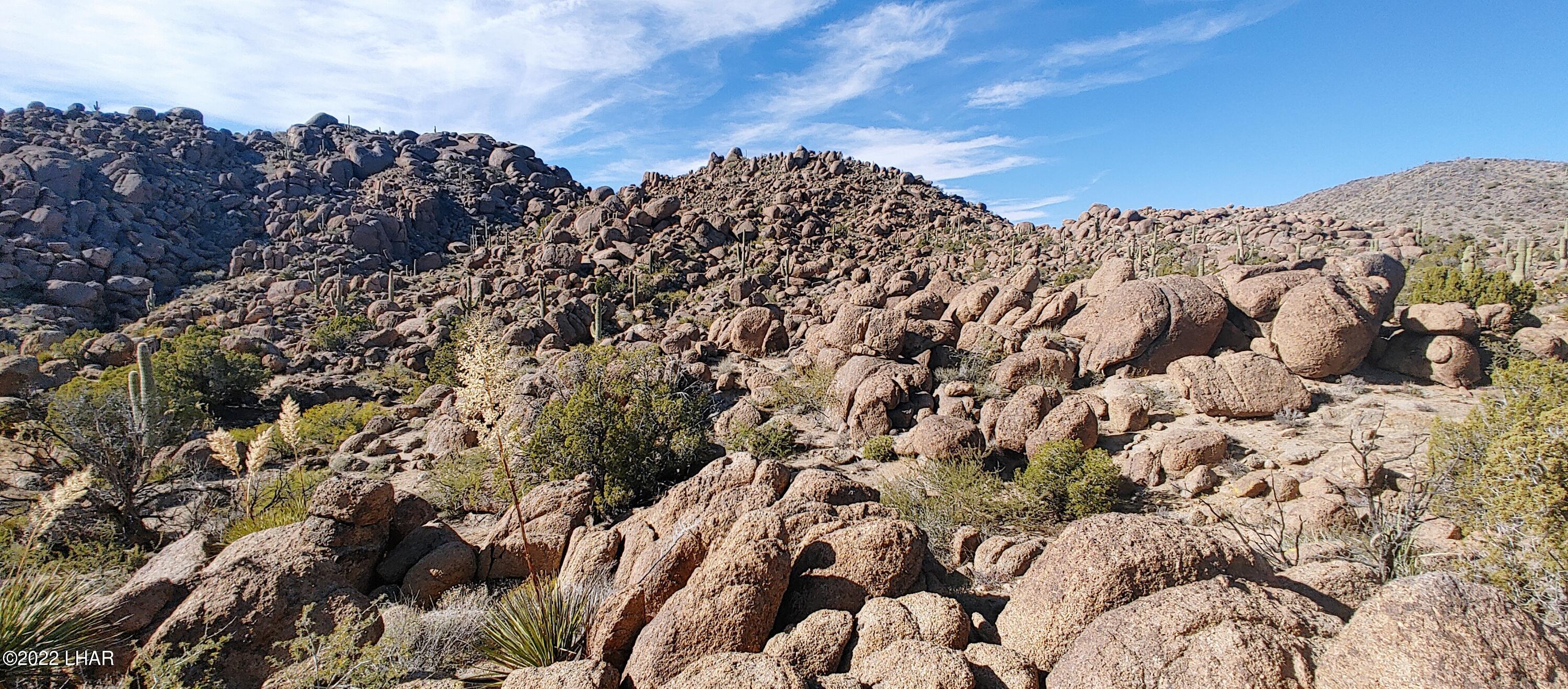 3611 South La Cienega Ranch Road Yucca, AZ 86438 - Photo 21 of 75 1127221343a 1