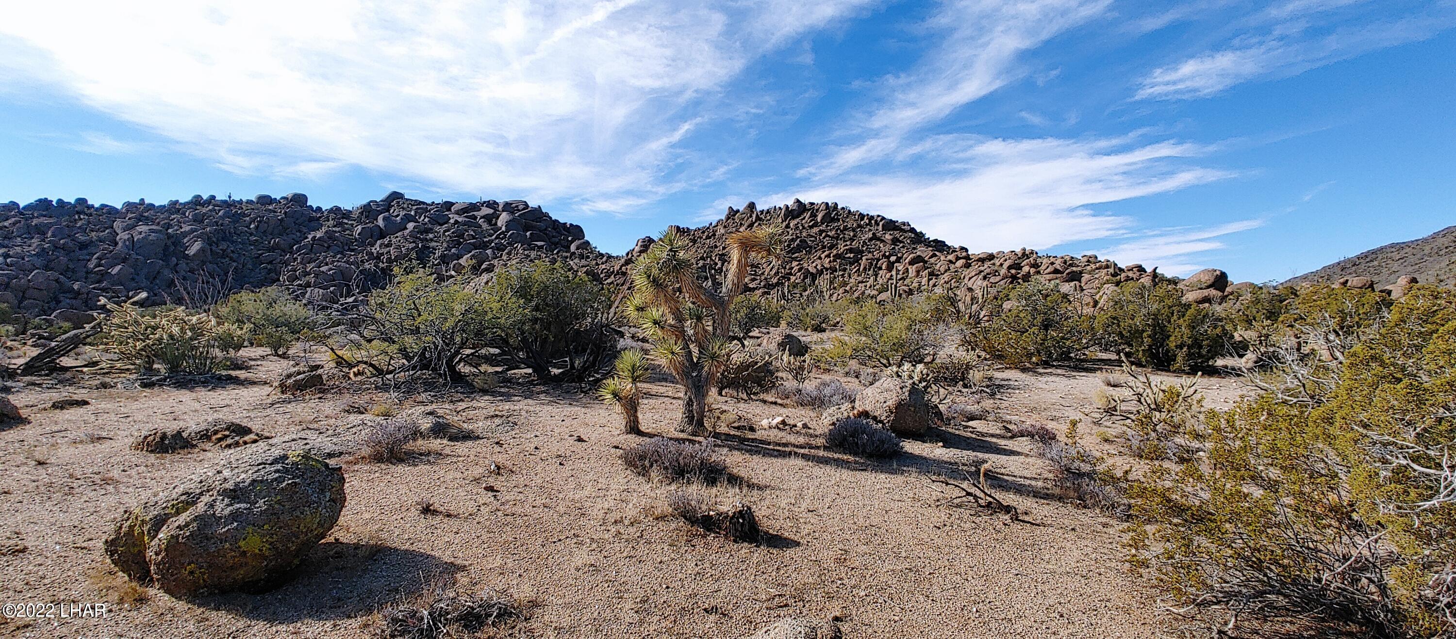 3611 South La Cienega Ranch Road Yucca, AZ 86438 - Photo 37 of 75 1127221346c