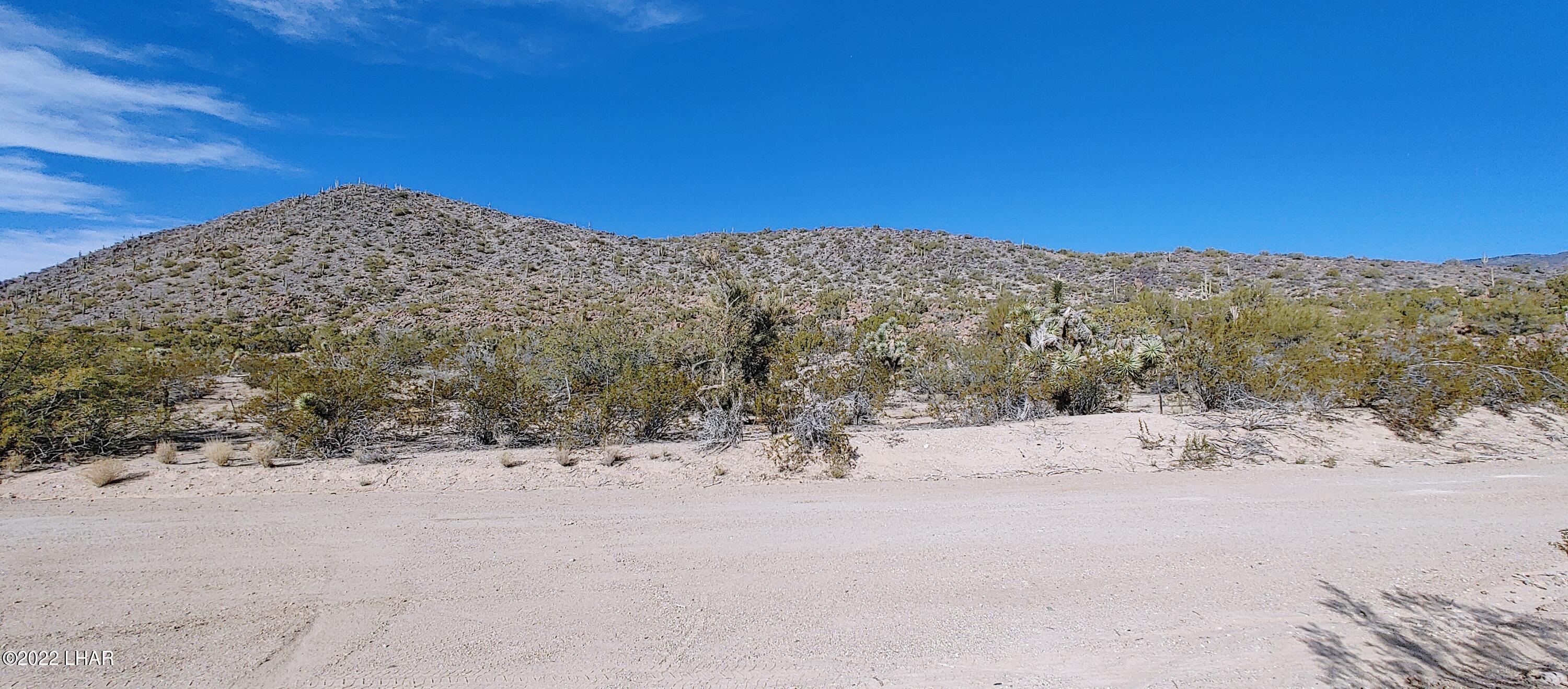 3611 South La Cienega Ranch Road Yucca, AZ 86438 - Photo 40 of 75 1127221350