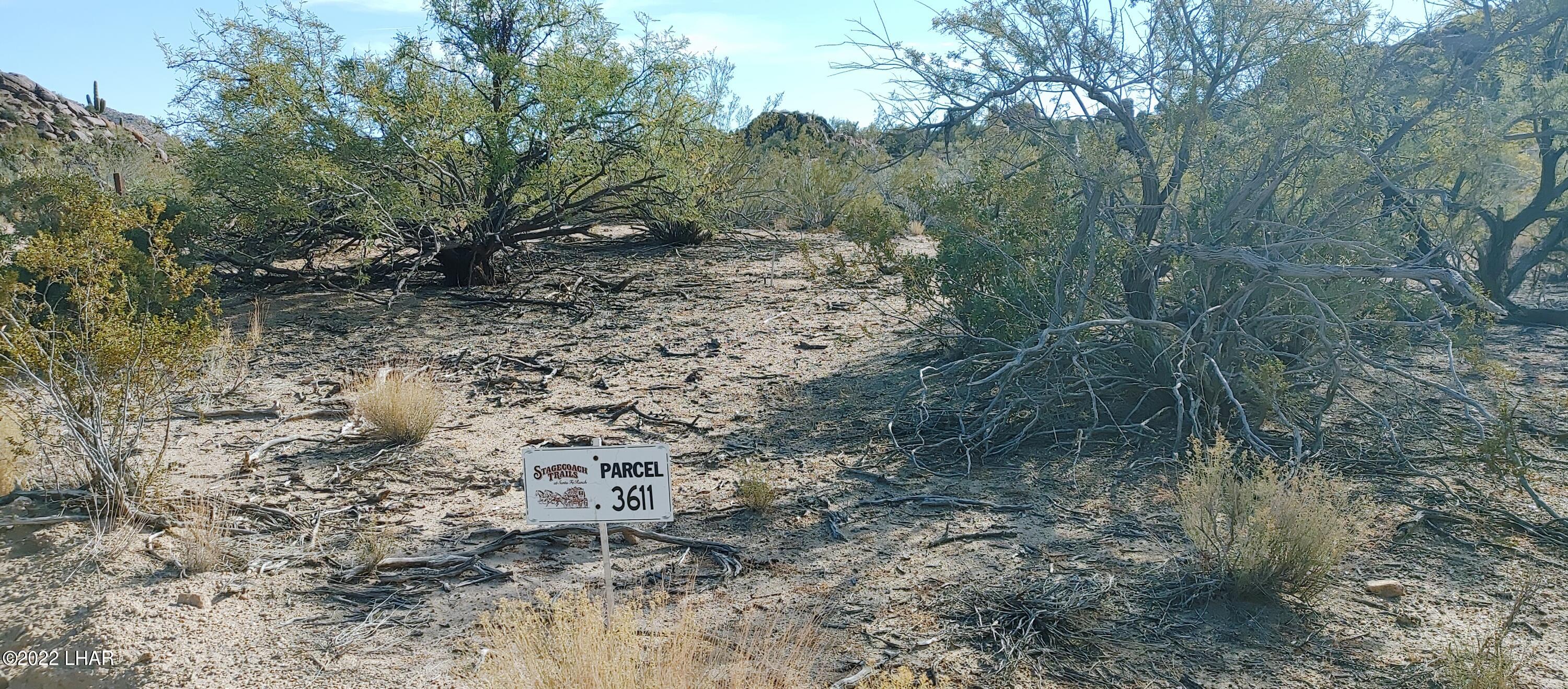 3611 South La Cienega Ranch Road Yucca, AZ 86438 - Photo 4 of 75 1127221351a