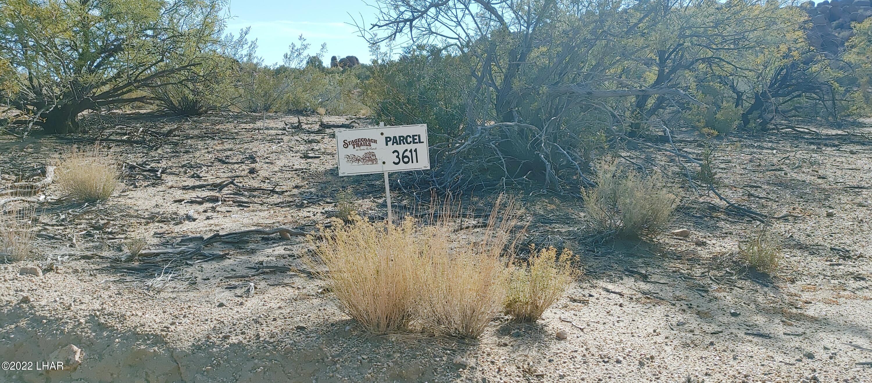 3611 South La Cienega Ranch Road Yucca, AZ 86438 - Photo 45 of 75 1127221351