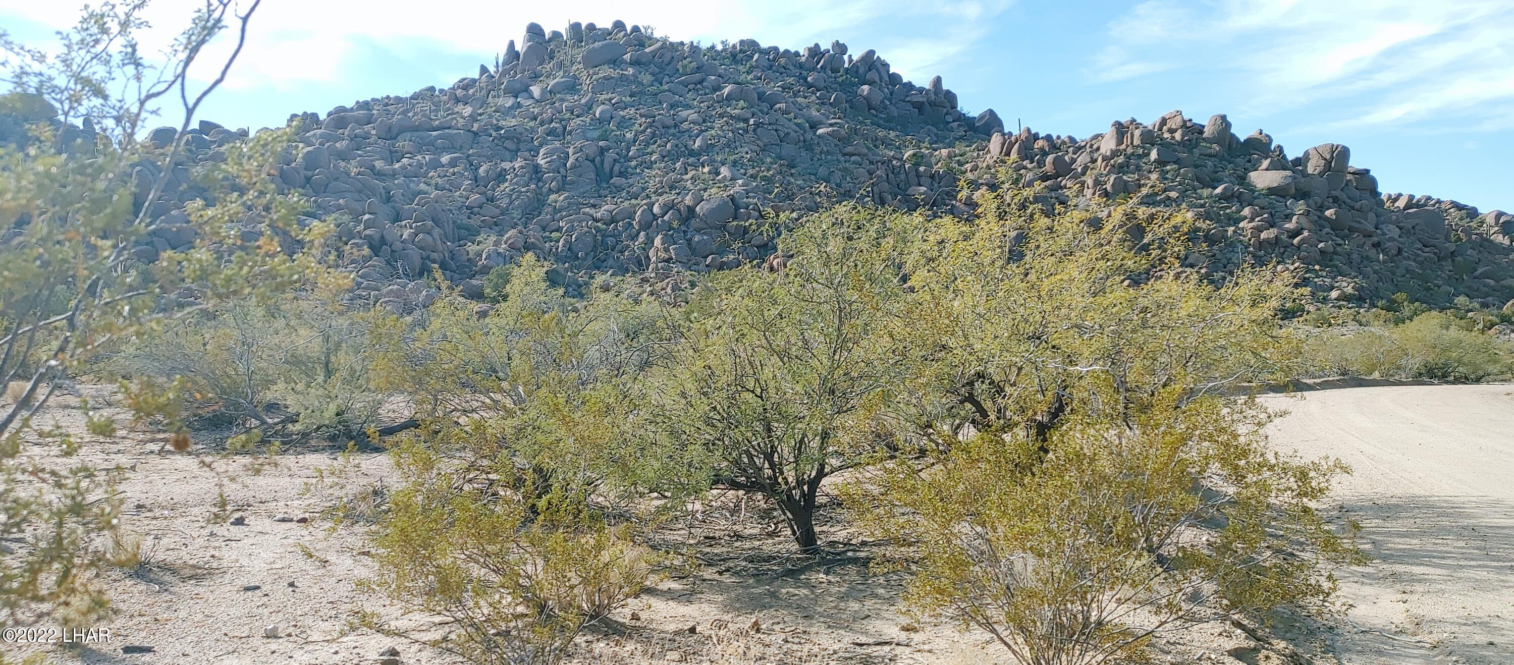 3611 South La Cienega Ranch Road Yucca, AZ 86438 - Photo 46 of 75 1127221352