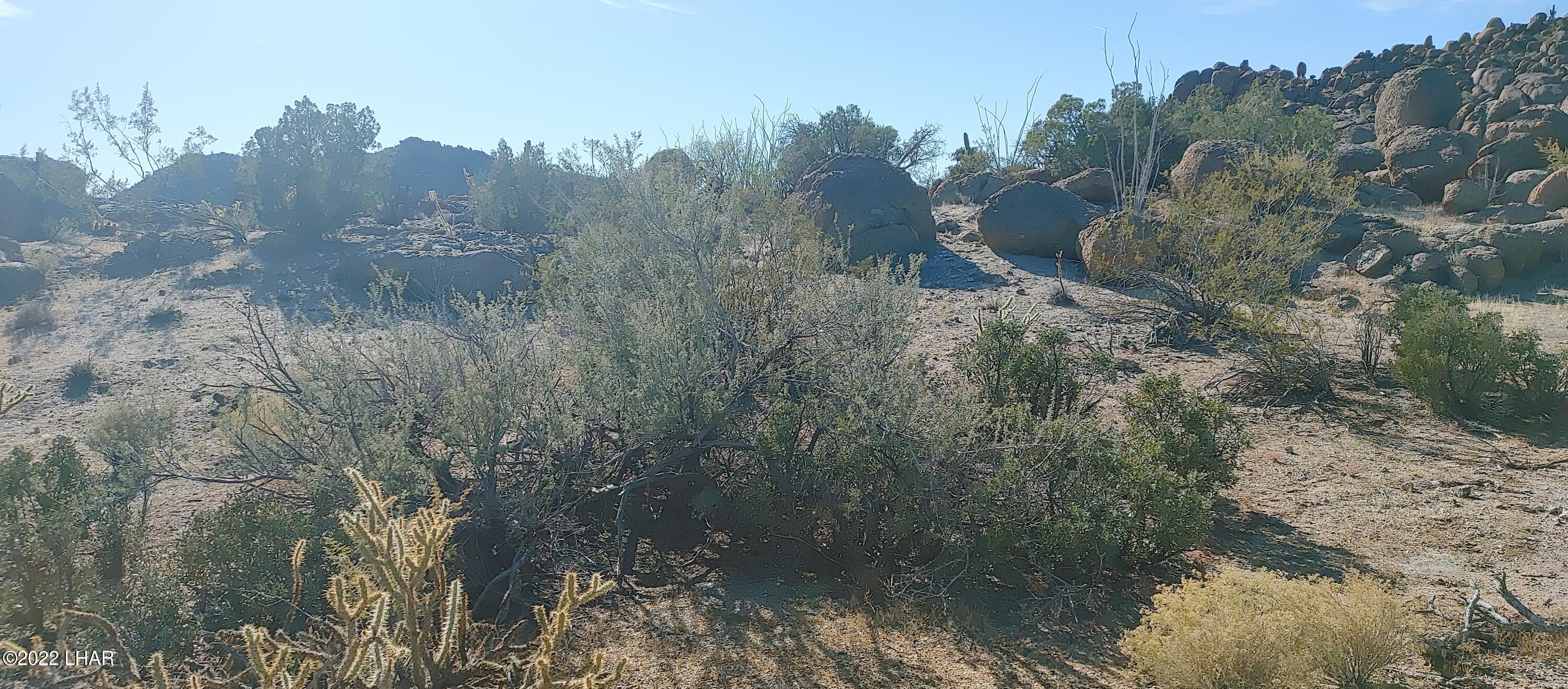 3611 South La Cienega Ranch Road Yucca, AZ 86438 - Photo 50 of 75 1127221341c