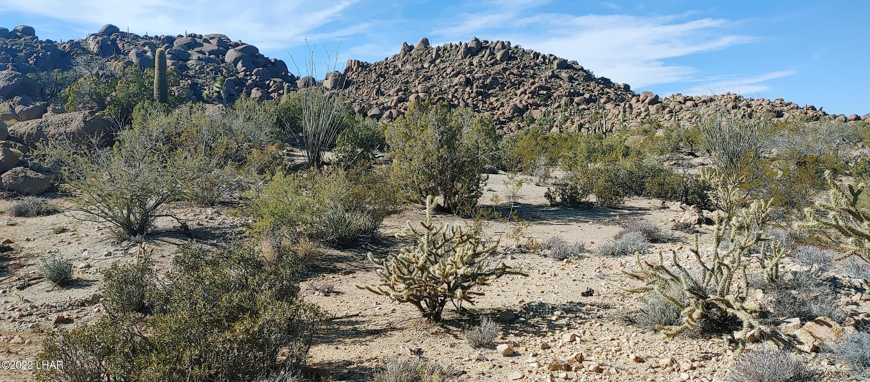 3611 South La Cienega Ranch Road Yucca, AZ 86438 - Photo 5 of 75 1127221341