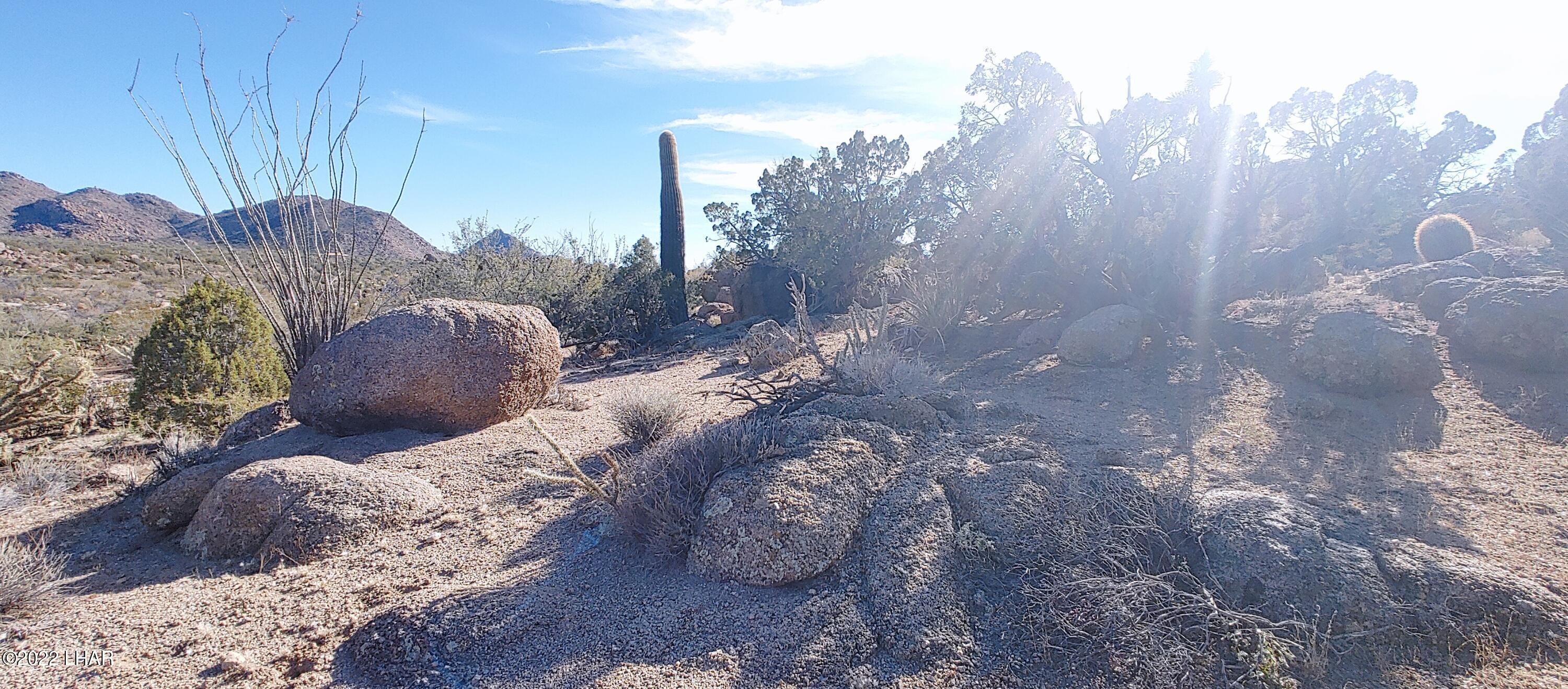 3611 South La Cienega Ranch Road Yucca, AZ 86438 - Photo 51 of 75 1127221342a