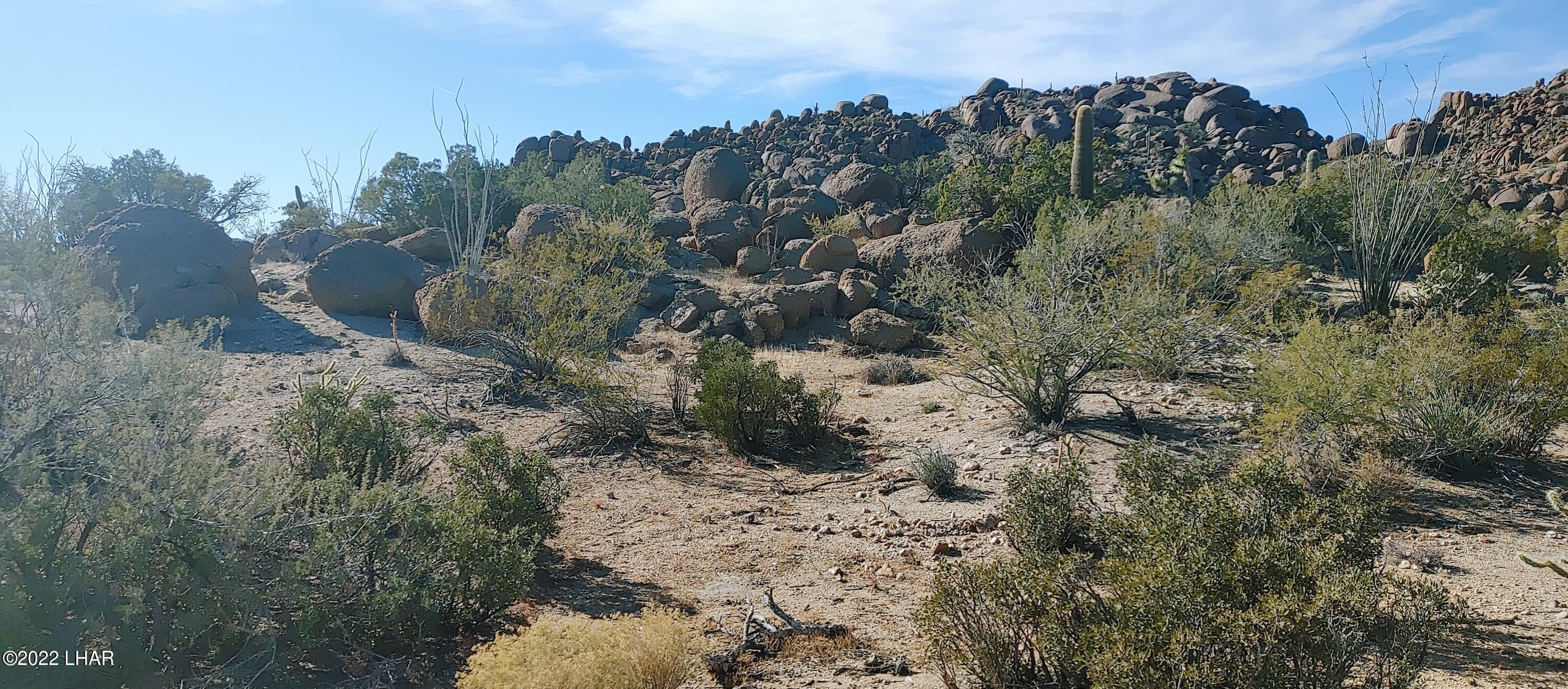 3611 South La Cienega Ranch Road Yucca, AZ 86438 - Photo 7 of 75 1127221341d