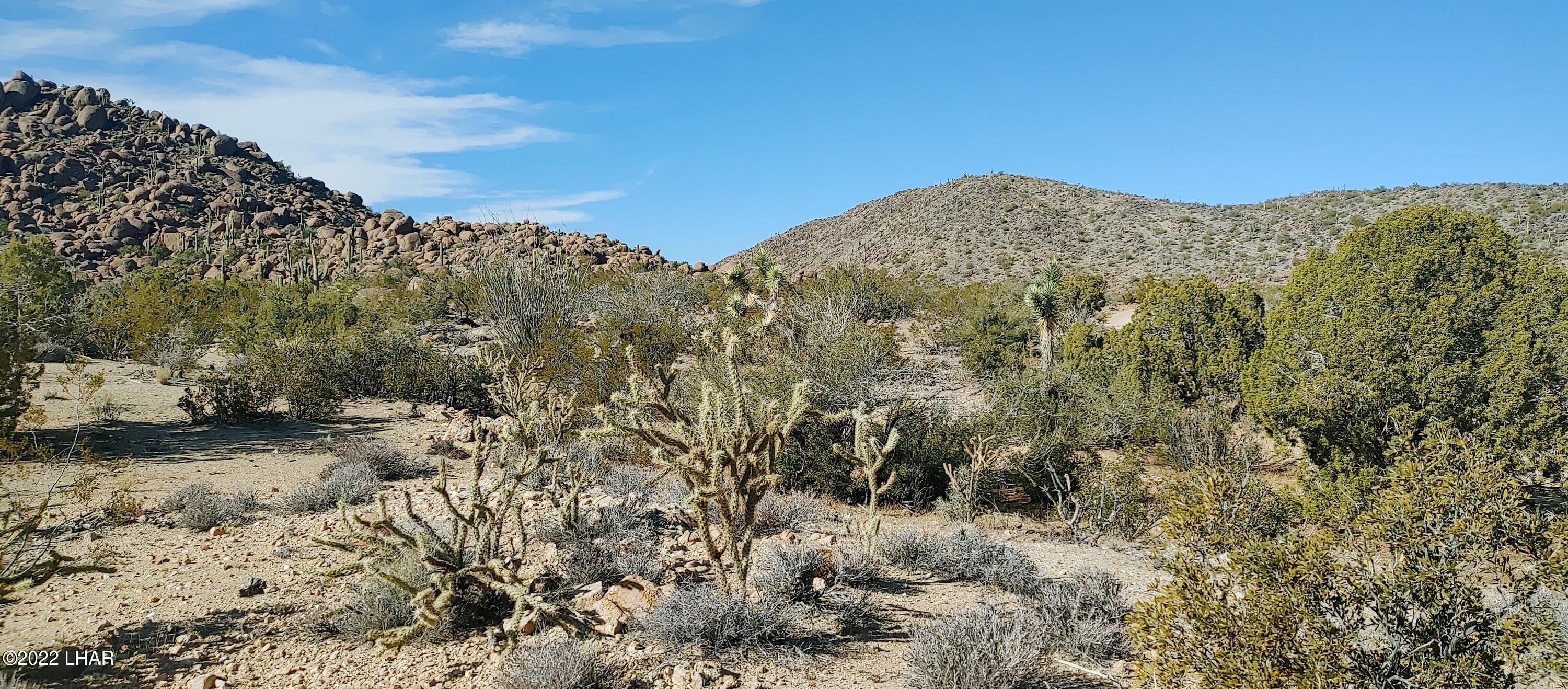 3611 South La Cienega Ranch Road Yucca, AZ 86438 - Photo 8 of 75 1127221341a