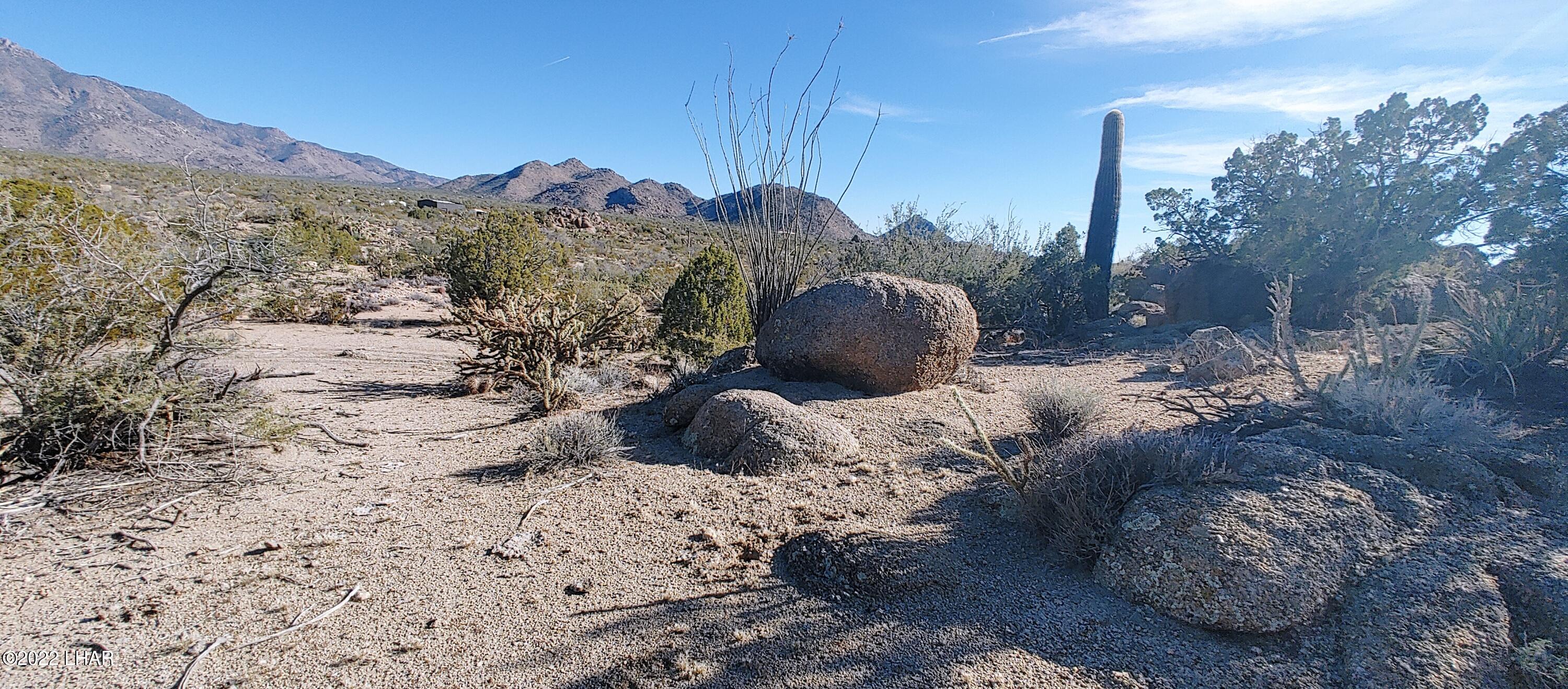 3611 South La Cienega Ranch Road Yucca, AZ 86438 - Photo 10 of 75 1127221342b