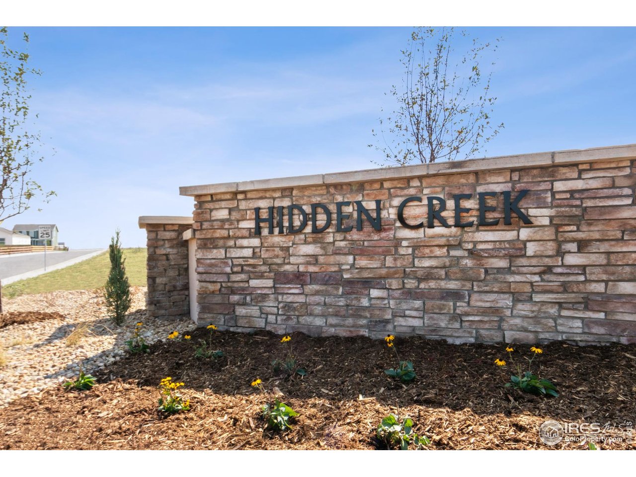 7465 Slate Place Frederick, CO 80530 - Photo 17 of 28