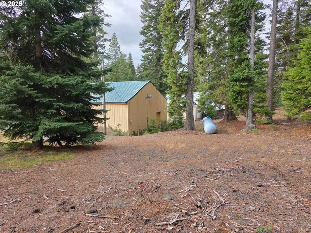 a view of a house with backyard and a tree