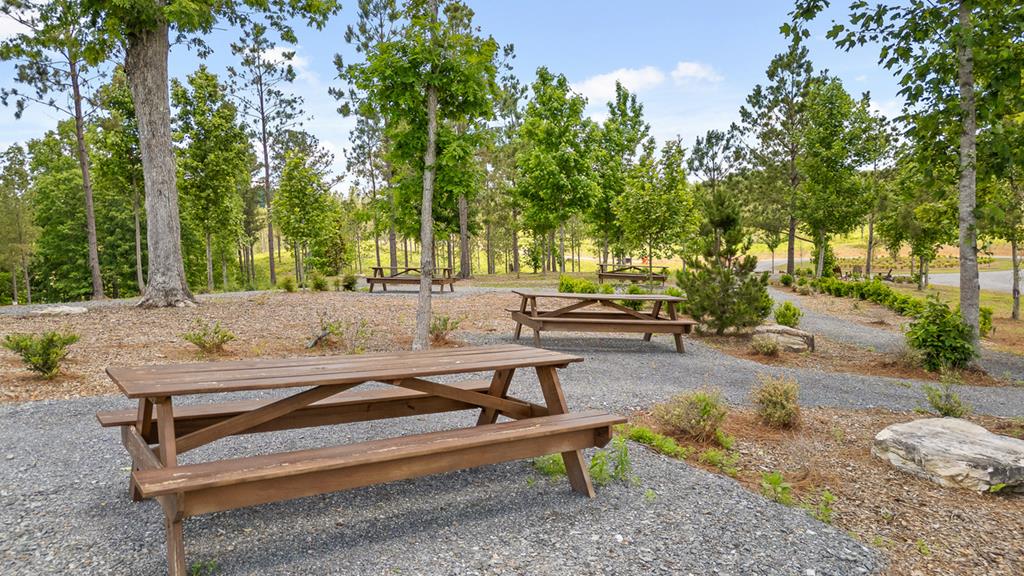 Lot 334 Twisted Oak Road Talking Rock, GA 30175 - Photo 11 of 26