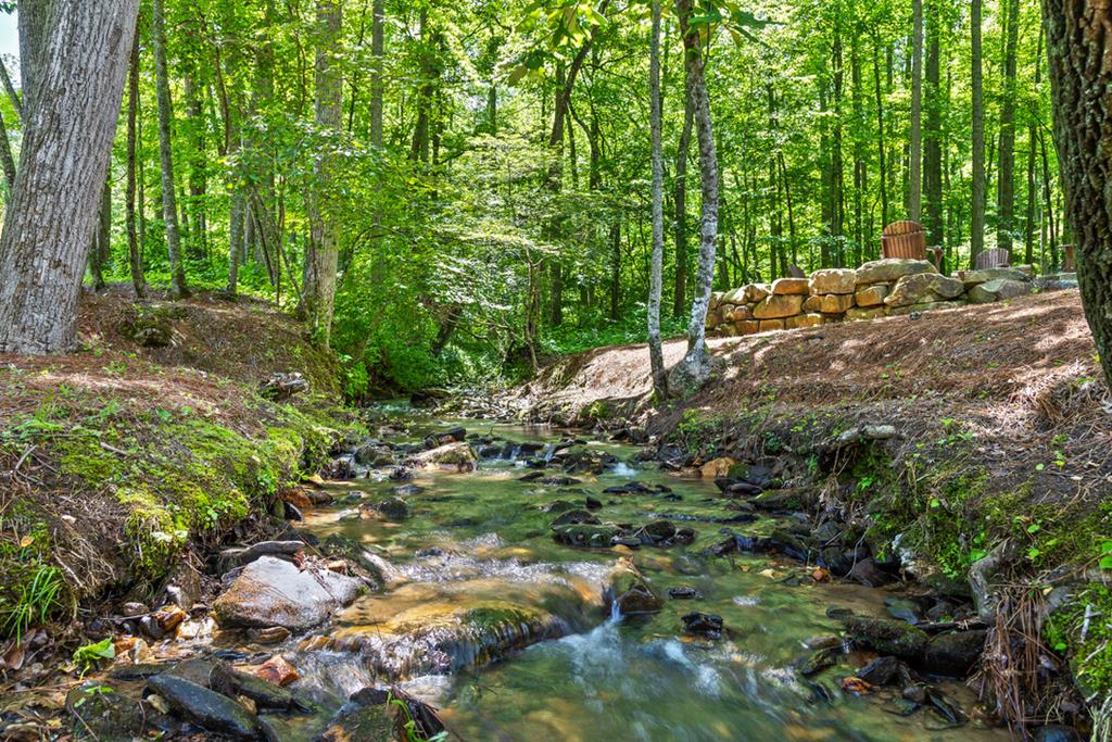 Lot 334 Twisted Oak Road Talking Rock, GA 30175 - Photo 12 of 26