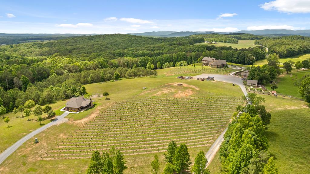 Lot 334 Twisted Oak Road Talking Rock, GA 30175 - Photo 25 of 26