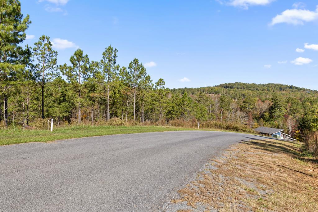 Lot 334 Twisted Oak Road Talking Rock, GA 30175 - Photo 3 of 26