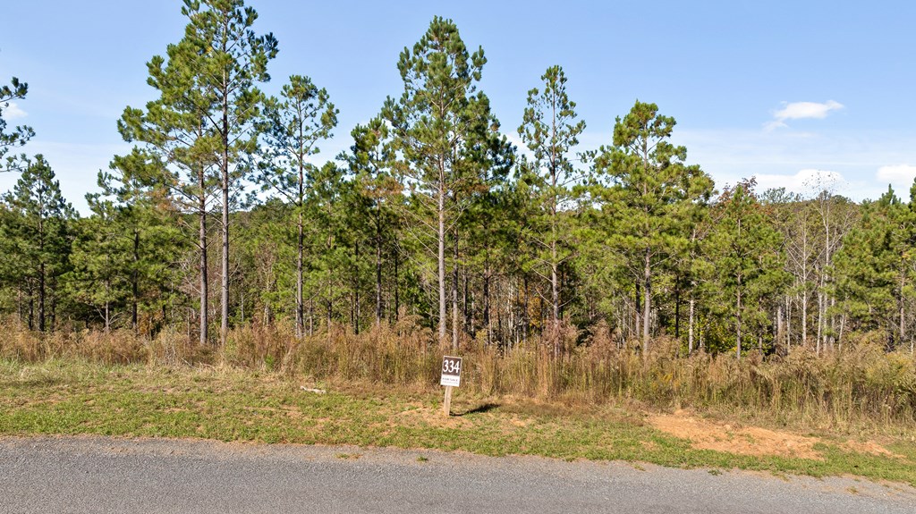 Lot 334 Twisted Oak Road Talking Rock, GA 30175 - Photo 4 of 26