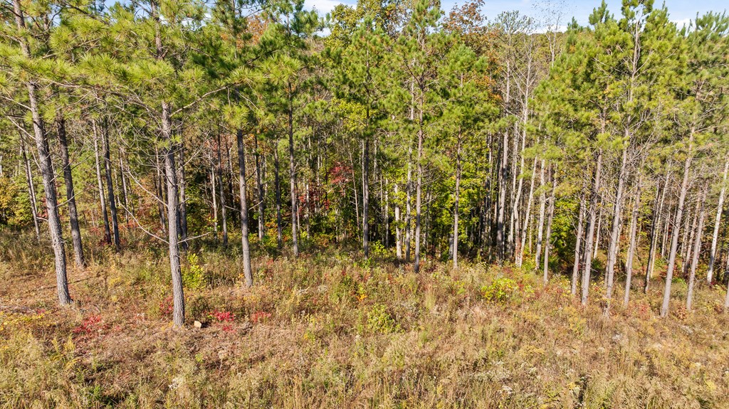 Lot 334 Twisted Oak Road Talking Rock, GA 30175 - Photo 5 of 26