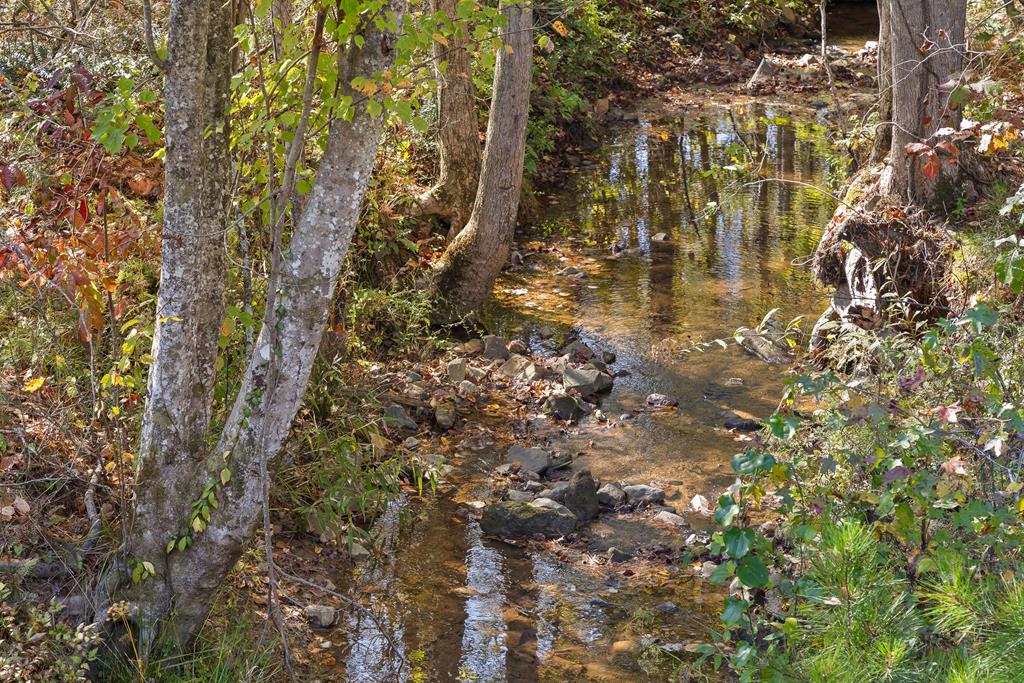 Lot 334 Twisted Oak Road Talking Rock, GA 30175 - Photo 6 of 26