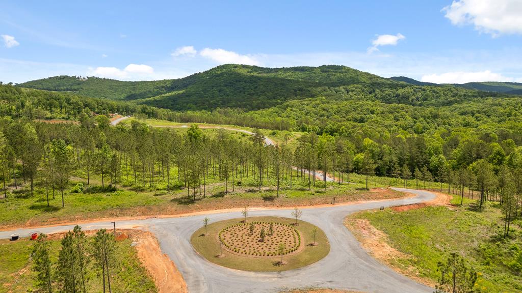 Lot 334 Twisted Oak Road Talking Rock, GA 30175 - Photo 7 of 26