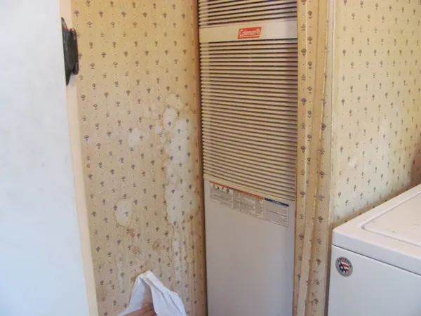 a bathroom with a shower and a sink