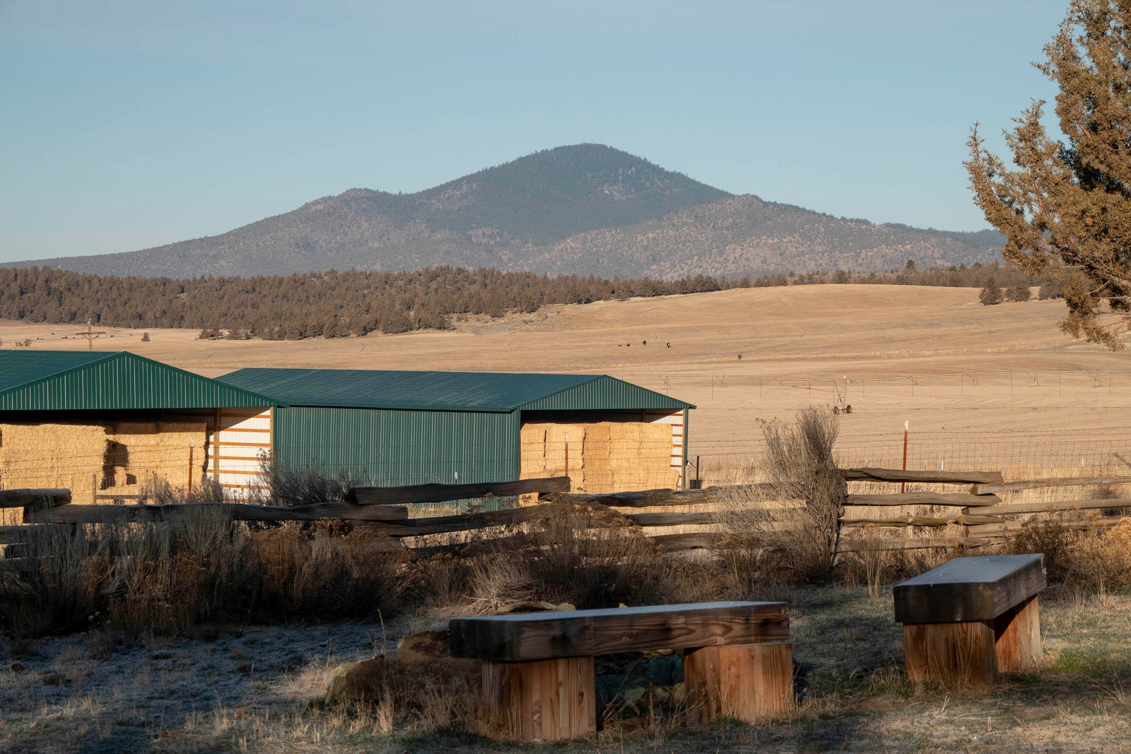 3490 North Barnes Road Prineville, OR 97754 - Photo 23 of 31 Willden Barnes Rd 20