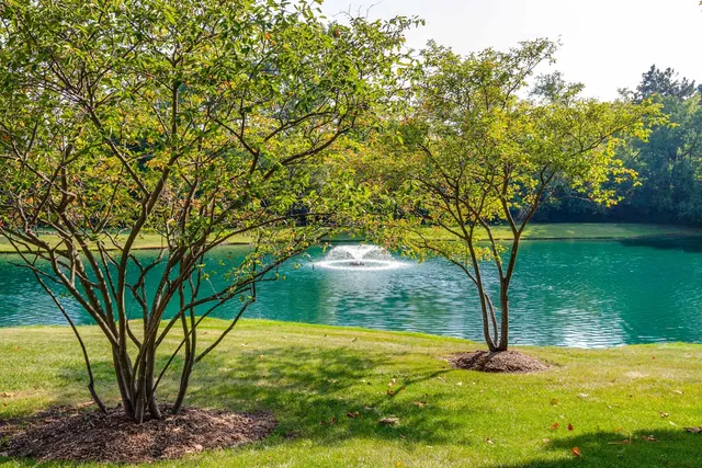 $655,900 | 1316 South Christine Court, Vernon Hills, IL 60061