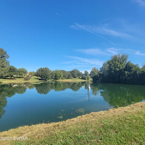 a blue vase with flowers sitting on a table