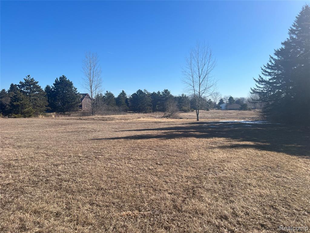 Vl Mertz Road Mayville, MI 48744 - Photo 4 of 15