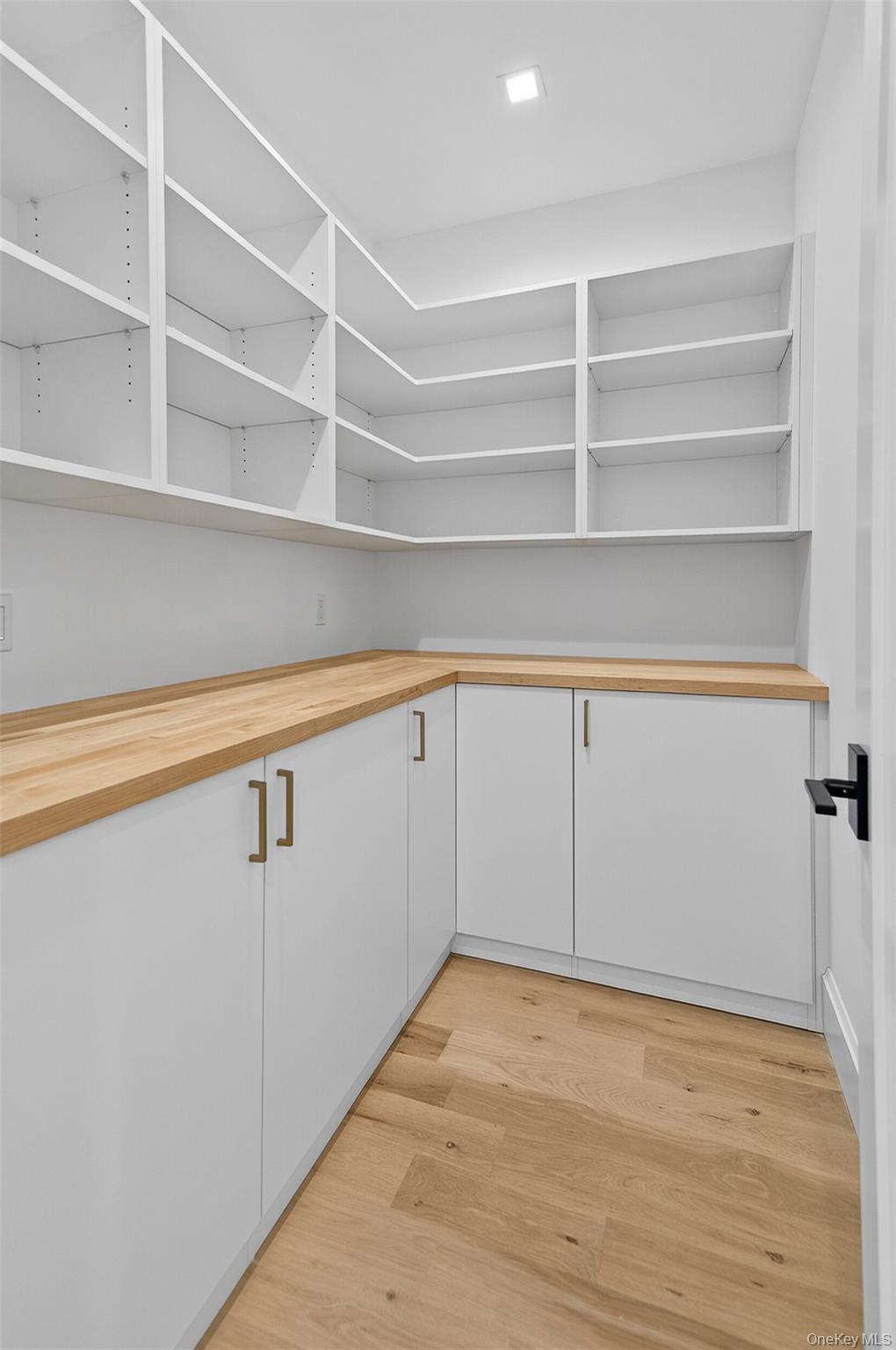 32 A Pine Road Syosset, NY 11791 - Photo 20 of 46 a view of an empty room with empty racks