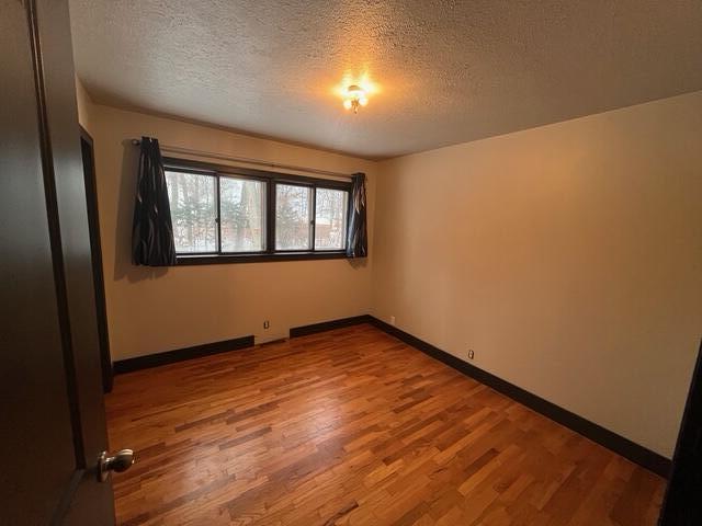 11834 West Carson City Road Greenville, MI 48838 - Photo 16 of 30 IMG_6899