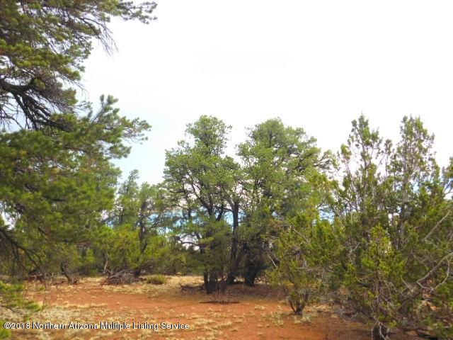 7313 Red Butte Road Williams, AZ 86046 - Photo 10 of 17 DSCN0955