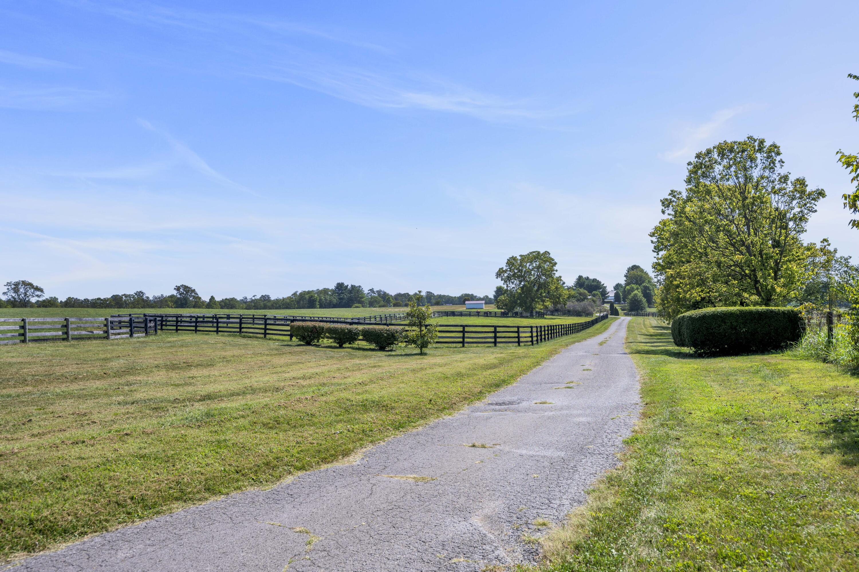 307 Stone Road Georgetown, KY 40324 - Photo 17 of 115 20240827-307-Stone-Rd-tem-083