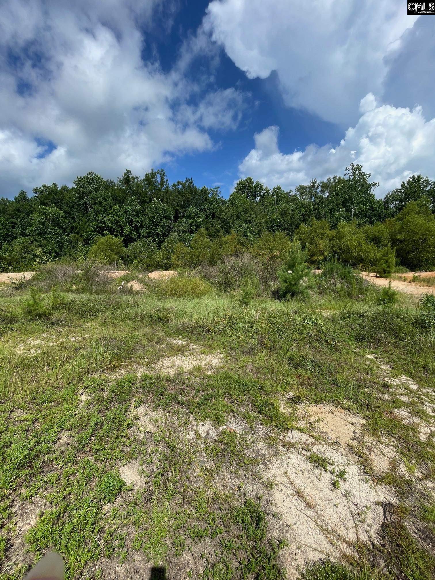 55 Edinburgh Castle Lane Camden, SC 29020 - Photo 2 of 3