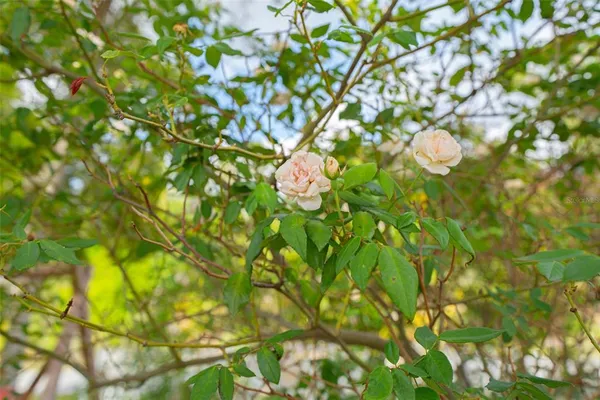 $275,000 | 935 North Florida Avenue, DeLand, FL 32720