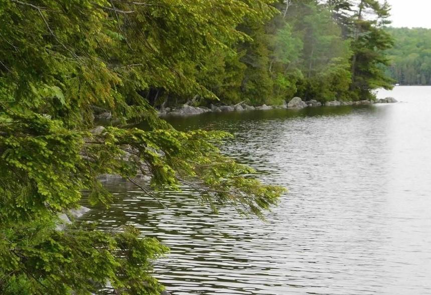 Tbd Tbd Loop Lane Enfield, ME 04493 - Photo 3 of 15 More Water view