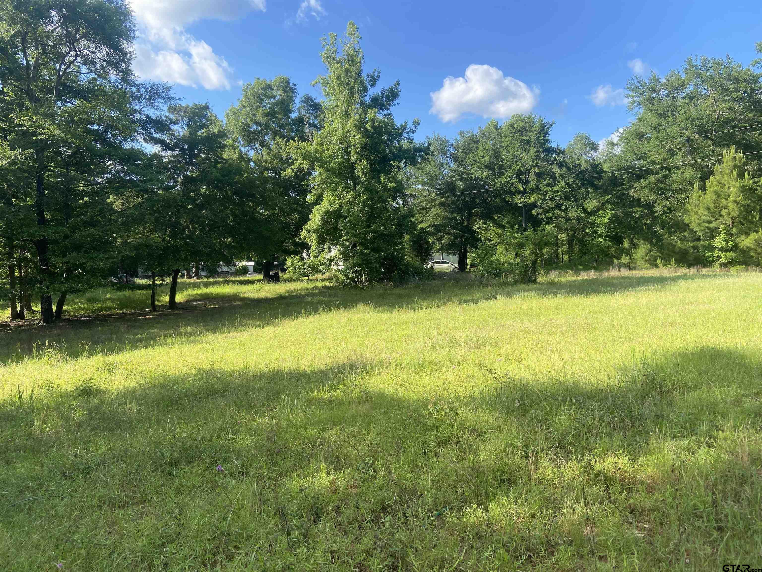 17407 County Road 4247 Reklaw, TX 75784 - Photo 3 of 8