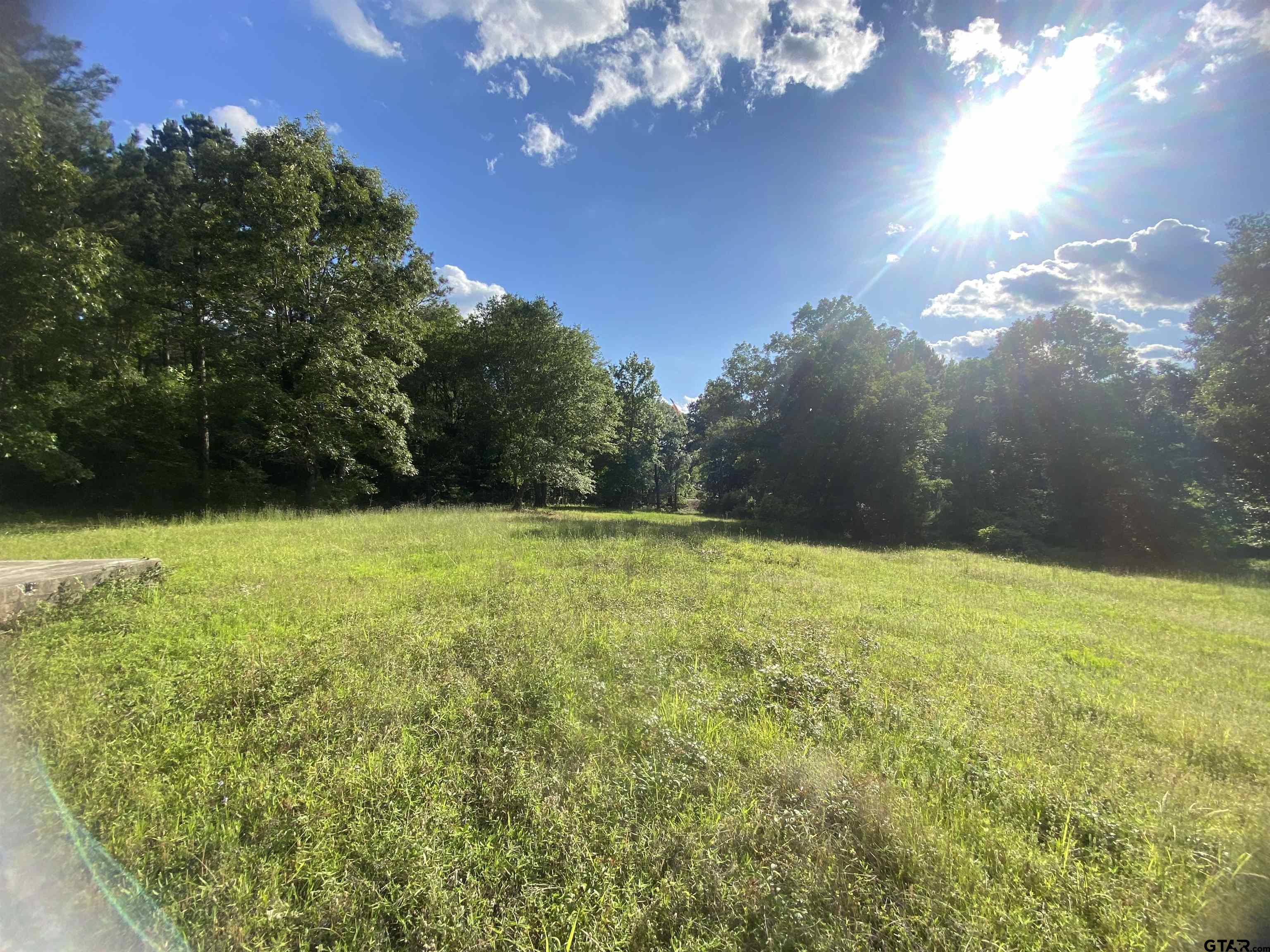 17407 County Road 4247 Reklaw, TX 75784 - Photo 6 of 8