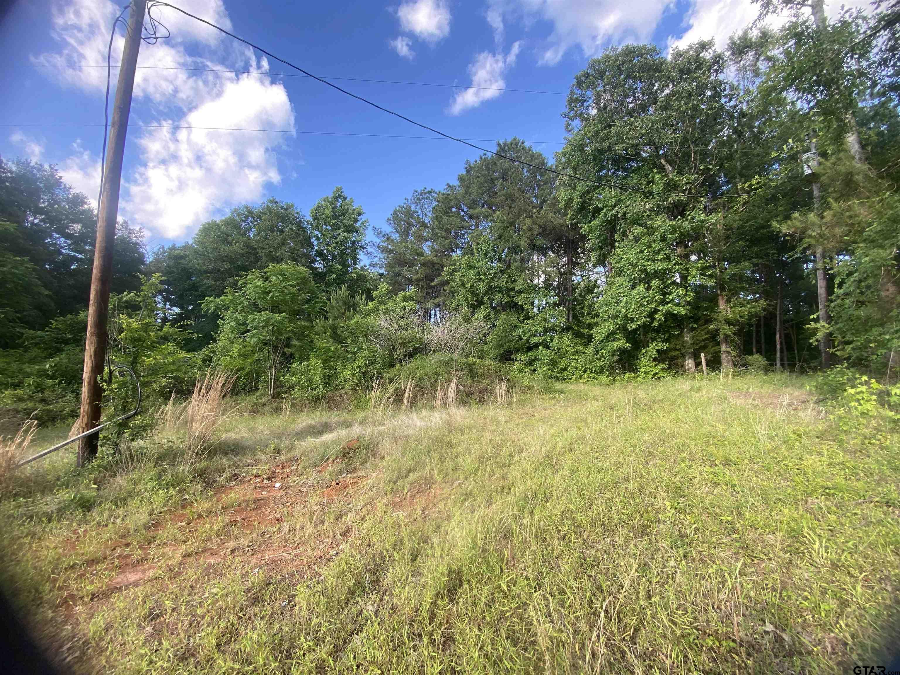 17407 County Road 4247 Reklaw, TX 75784 - Photo 7 of 8