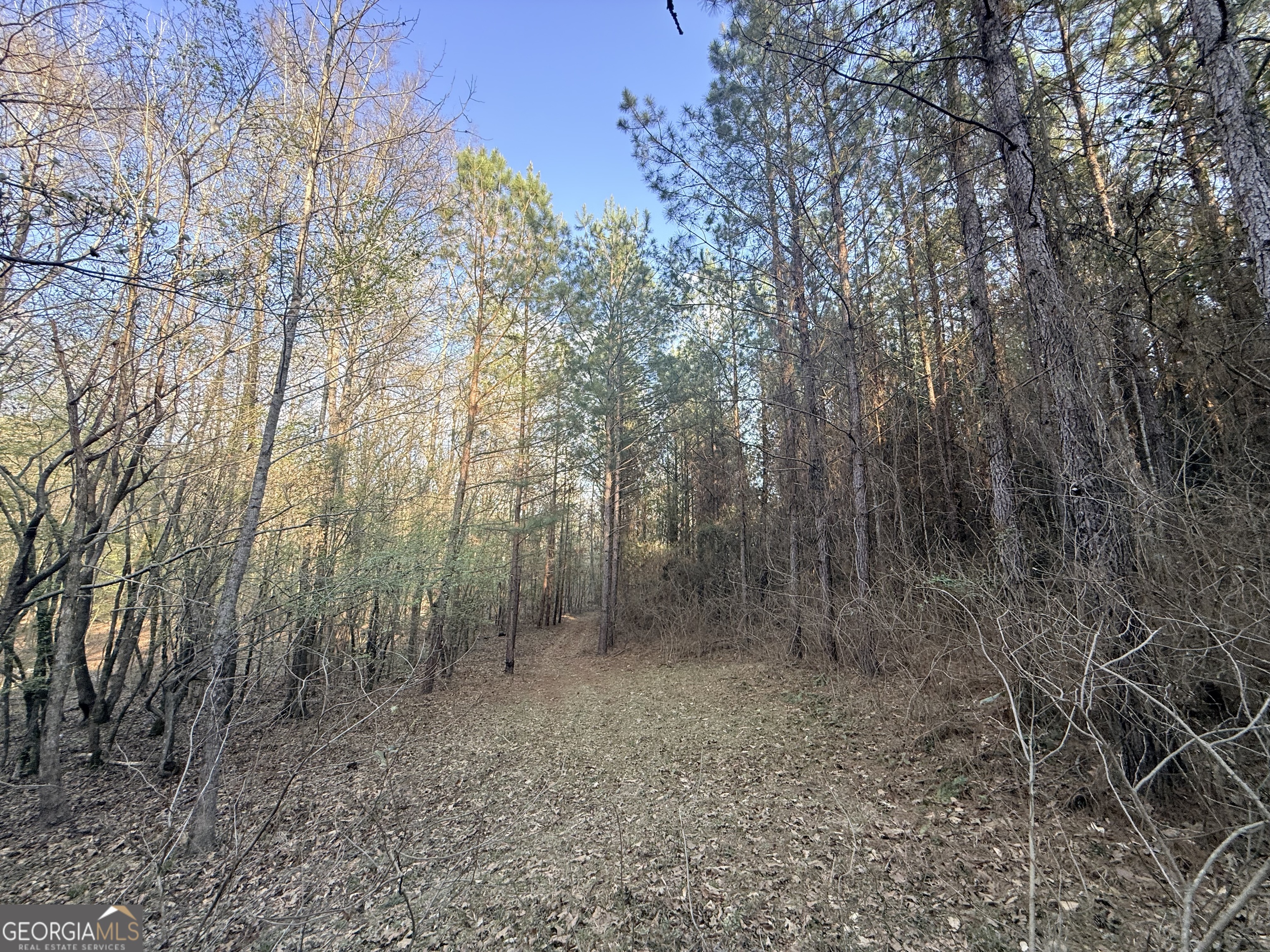 8 Hollis Norman Road Tignall, GA 30668 - Photo 27 of 36