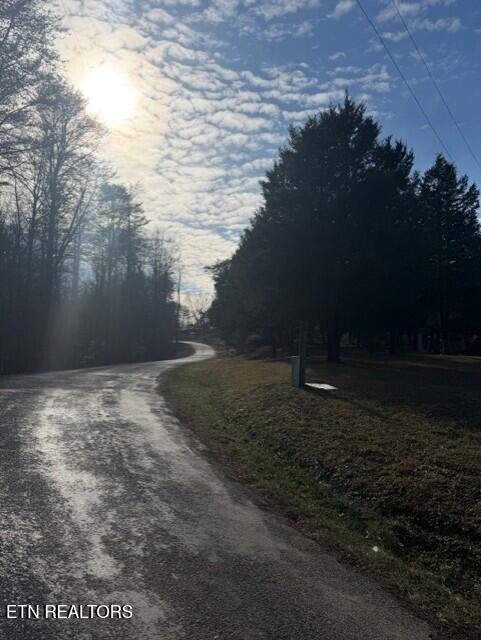 147 Shields Branch Road Tellico Plains, TN 37385 - Photo 7 of 7 Street View Front Yard