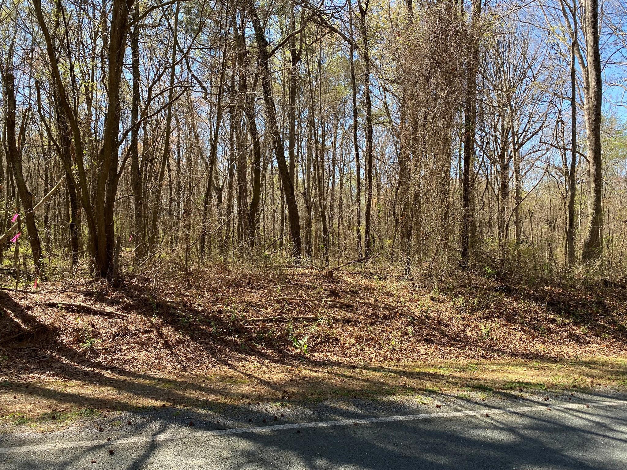 2 Vann Sneed Road Marshville, NC 28103 - Photo 5 of 5 a view of a backyard of the house