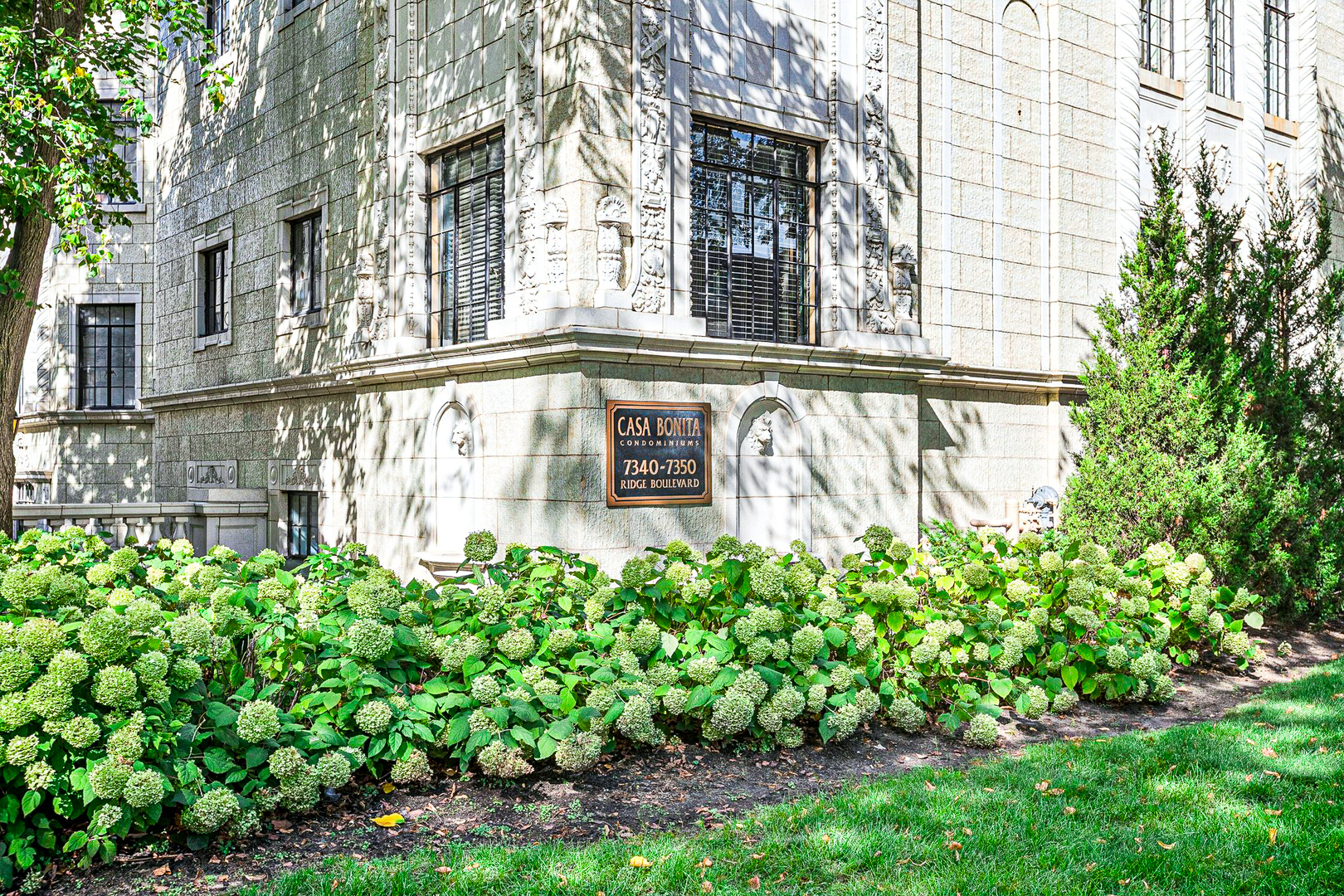 7348 North Ridge Boulevard, Unit 16B Chicago, IL 60645 - Photo 3 of 38 Gallery Image 3