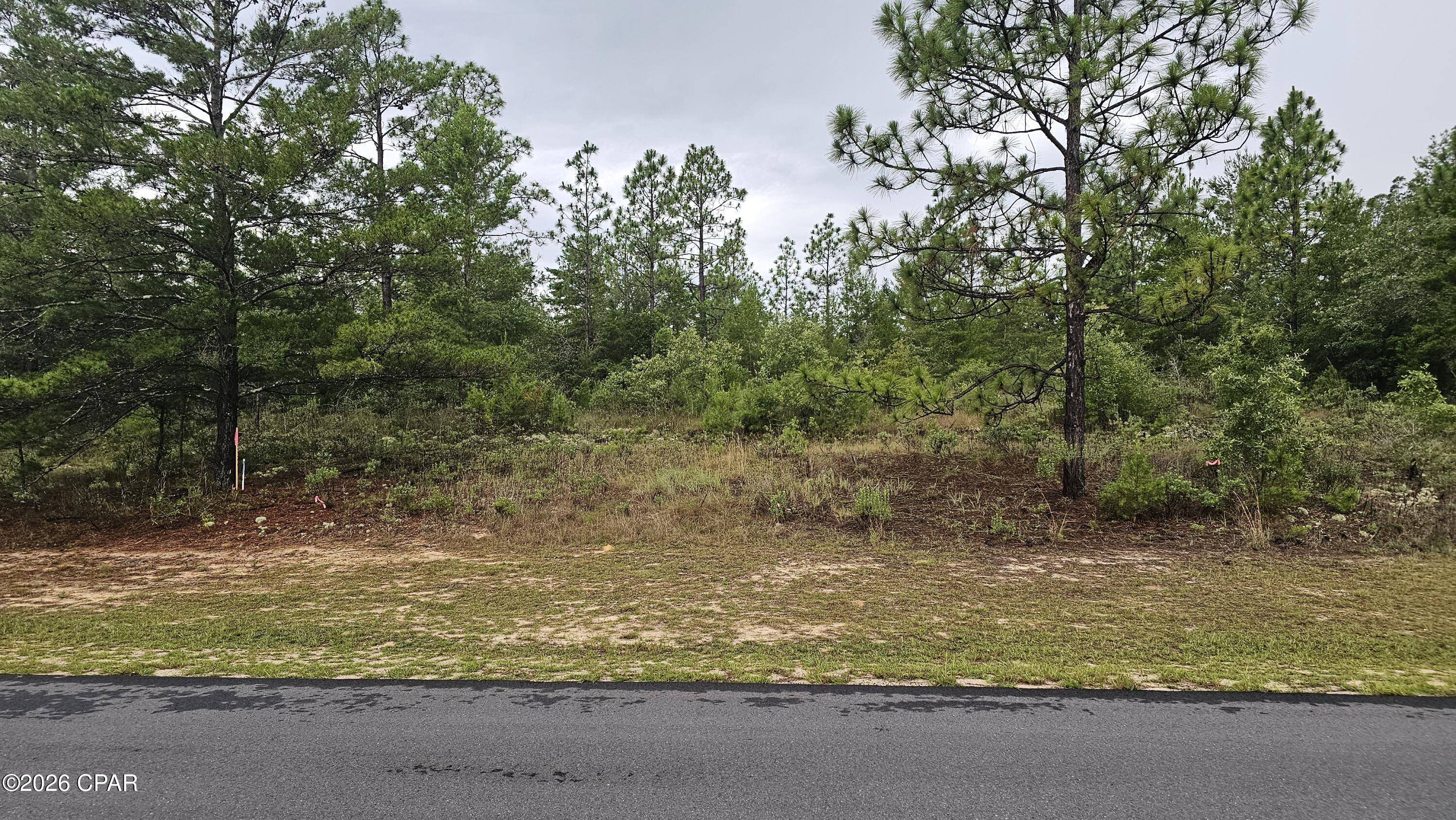Lot 3 Deadening Road Chipley, FL 32428 - Photo 2 of 18